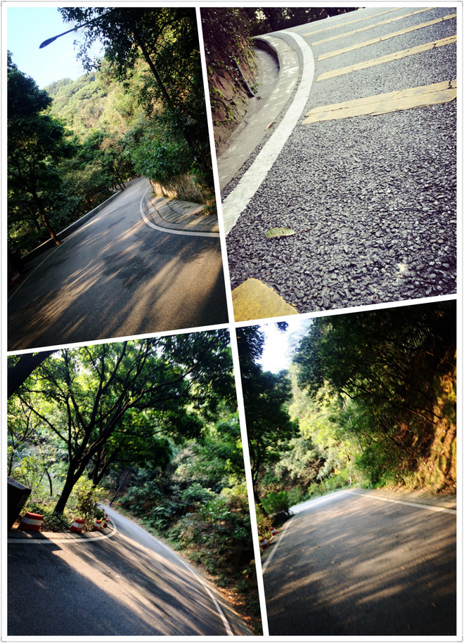 从化CH50猫仔滑屁屁战记