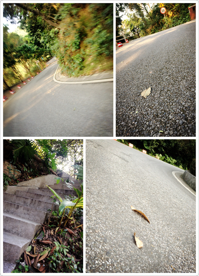 从化CH50猫仔滑屁屁战记