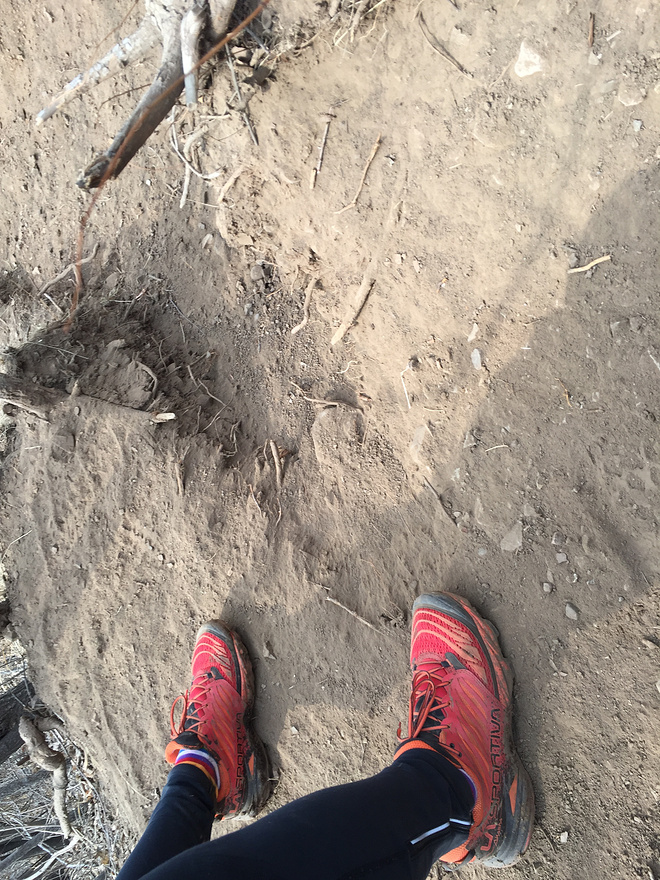 【众测报告】山野里的一把火 La Sportiva AKASHA评测