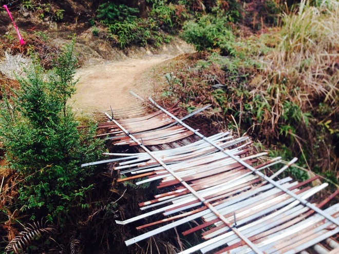 从化CH50猫仔滑屁屁战记