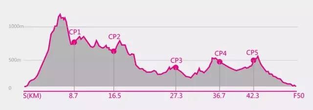 从化CH50猫仔滑屁屁战记