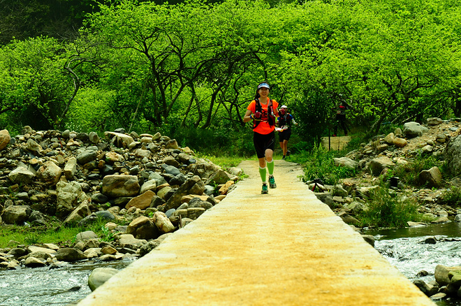 从化CH50猫仔滑屁屁战记