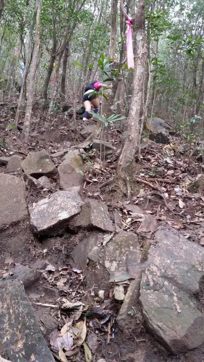 从化CH50猫仔滑屁屁战记