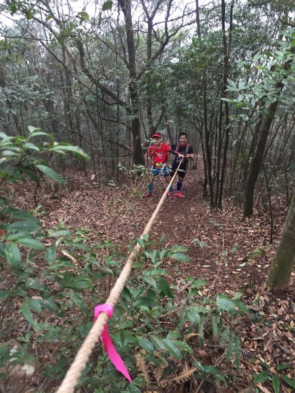 从化CH50猫仔滑屁屁战记