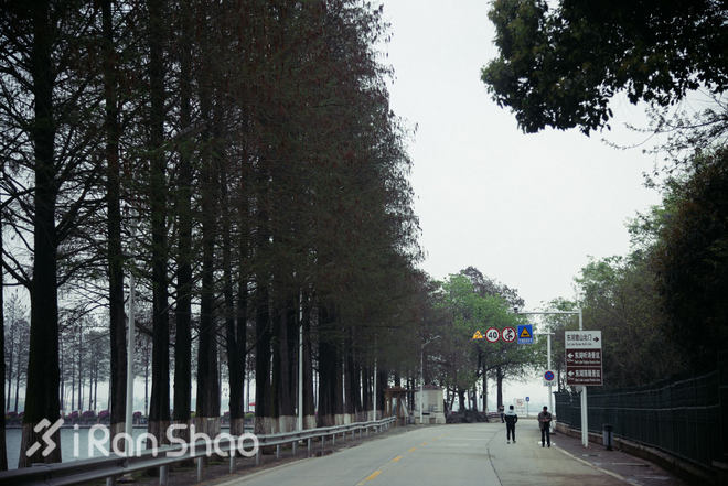 探路 | 四桥五湖 武汉马拉松路线探路通关秘籍