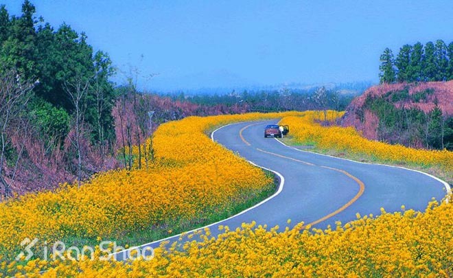 经验 | 为什么说春天是跑步最好的时节？