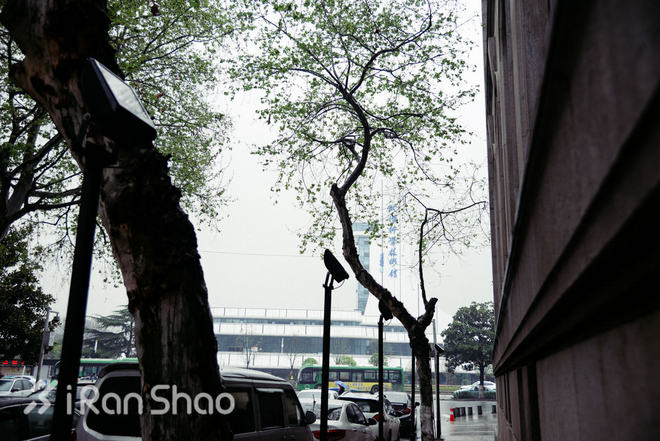 探路 | 四桥五湖 武汉马拉松路线探路通关秘籍