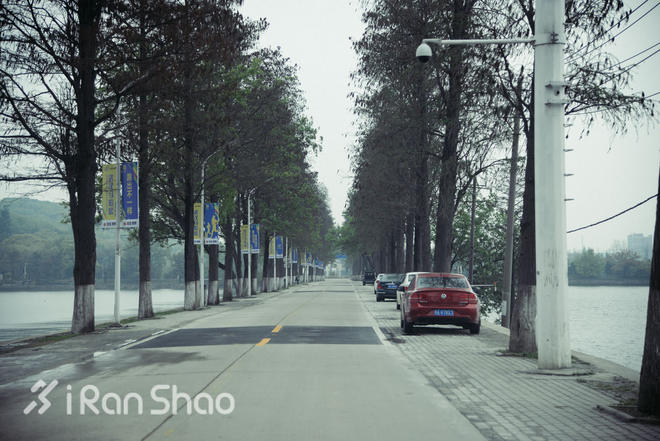 探路 | 四桥五湖 武汉马拉松路线探路通关秘籍