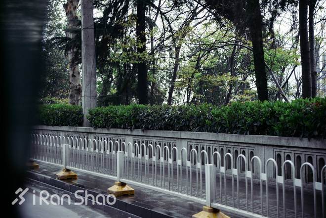 探路 | 四桥五湖 武汉马拉松路线探路通关秘籍