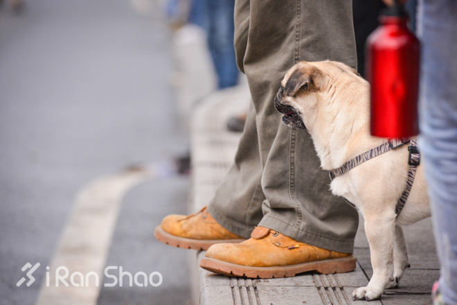看图说话：镜头下的2016重庆国际马拉松