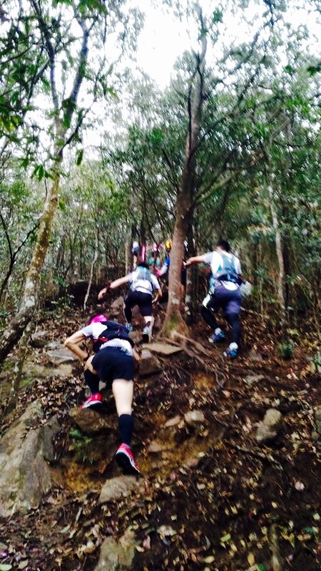 从化CH50猫仔滑屁屁战记