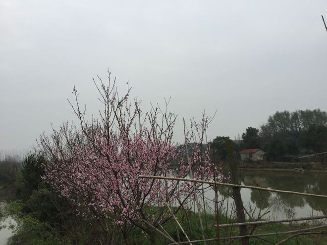 3.13武汉女子半程马拉松众测报告