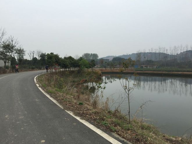 3.13武汉女子半程马拉松众测报告