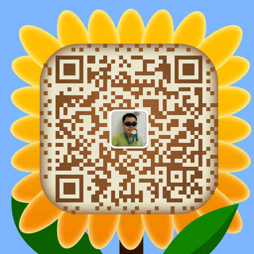 美丽迷人的“东方夏威夷”——记2016阳江海陵岛环岛国际马拉松赛