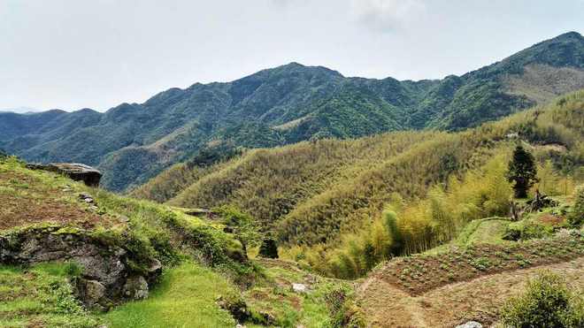 喝最烈的酒 走最野的路 －2016柴古－括苍－30K弱鸡完赛小记