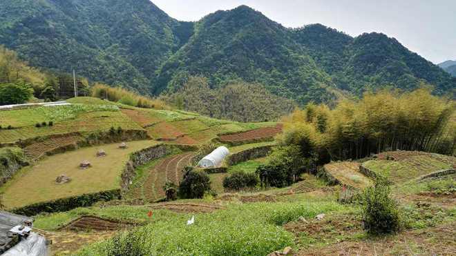喝最烈的酒 走最野的路 －2016柴古－括苍－30K弱鸡完赛小记