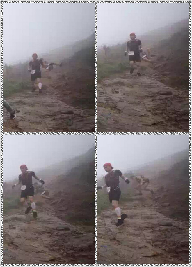 看那满山杜鹃别样红_记2016温州大罗山越野