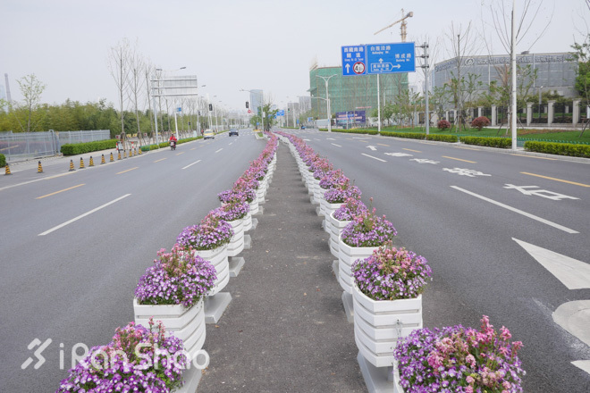 2016上海半程国际马拉松探路报告+完赛指南