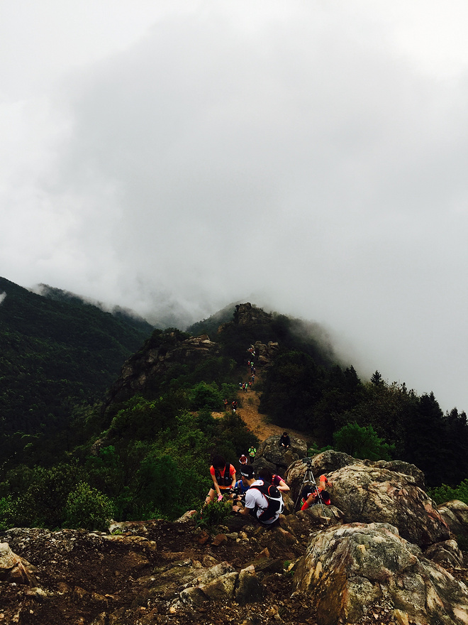 虐心柴古摘冠求婚