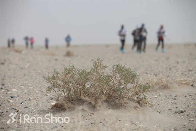 千百年玄奘之路  十一年戈壁挑战