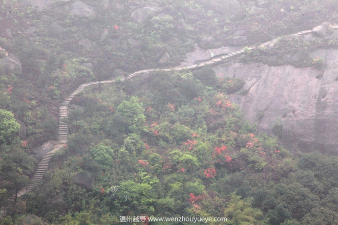 看那满山杜鹃别样红_记2016温州大罗山越野
