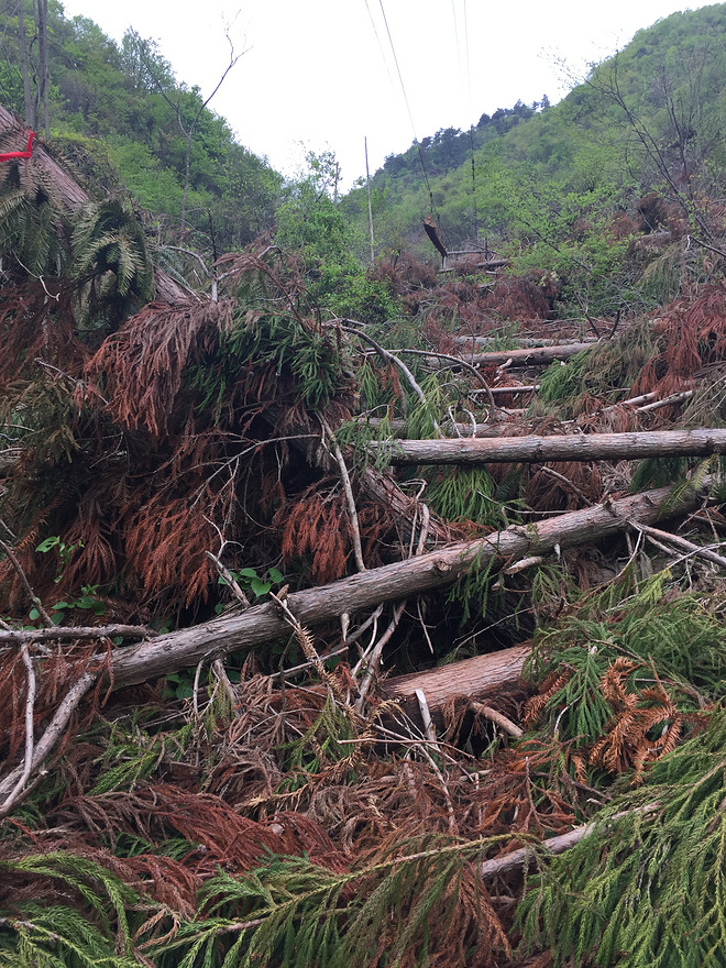柴古唐斯|风雨后未必有彩虹，风雨兼程后必有收获