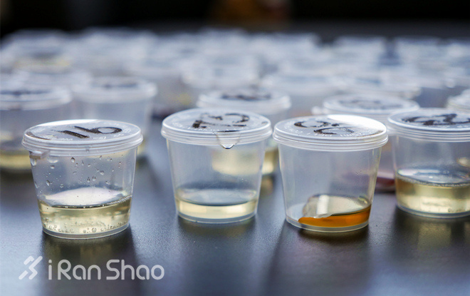 100多支能量胶试吃