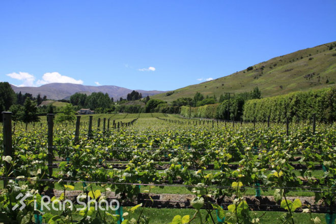 马拉松城纪 | 皇后镇 ，世外桃源与极限世界