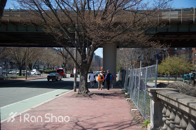 波士顿梦想 | 波马前夜 一切即将归于平静