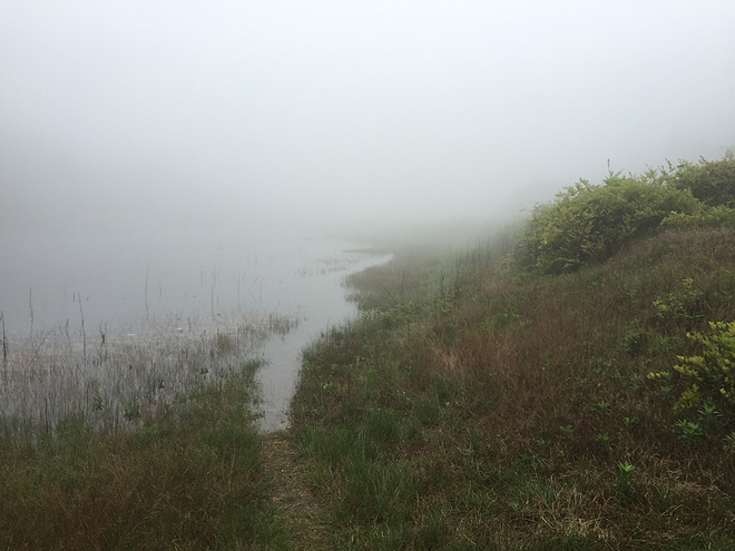 看那满山杜鹃别样红_记2016温州大罗山越野