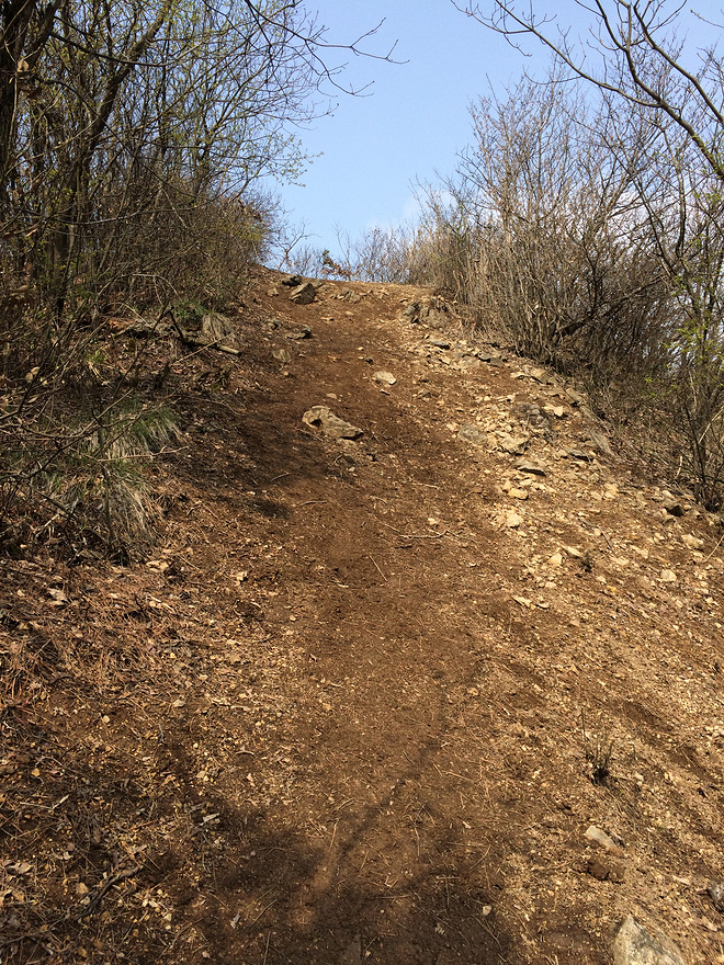 身体和灵魂，总有一个要在路上——2016北山之巅（金华山）越野挑战赛复仇记