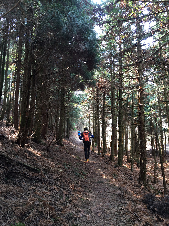 身体和灵魂，总有一个要在路上——2016北山之巅（金华山）越野挑战赛复仇记