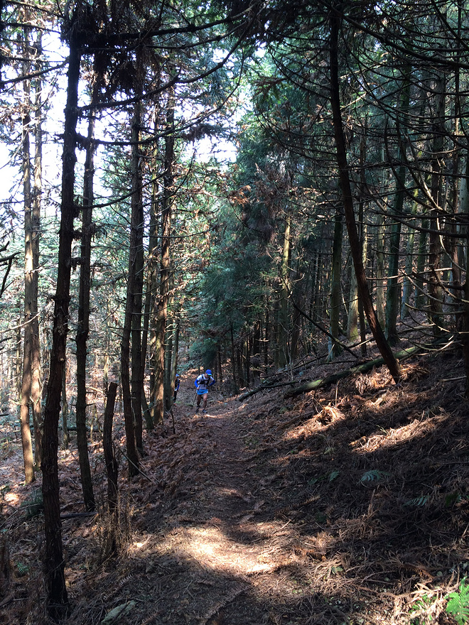 身体和灵魂，总有一个要在路上——2016北山之巅（金华山）越野挑战赛复仇记