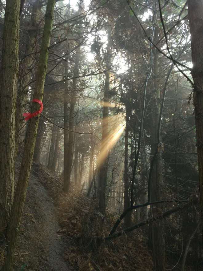 身体和灵魂，总有一个要在路上——2016北山之巅（金华山）越野挑战赛复仇记
