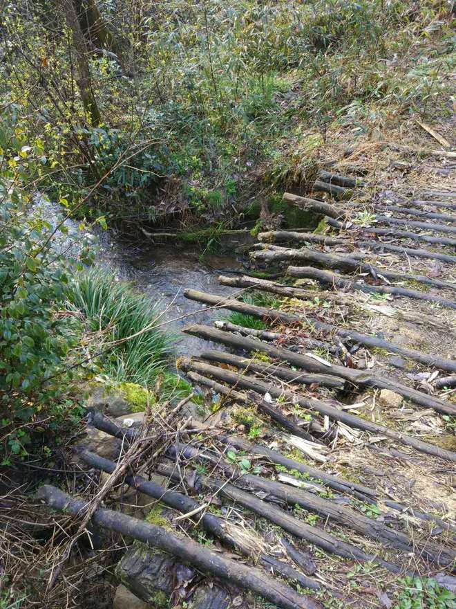 身体和灵魂，总有一个要在路上——2016北山之巅（金华山）越野挑战赛复仇记