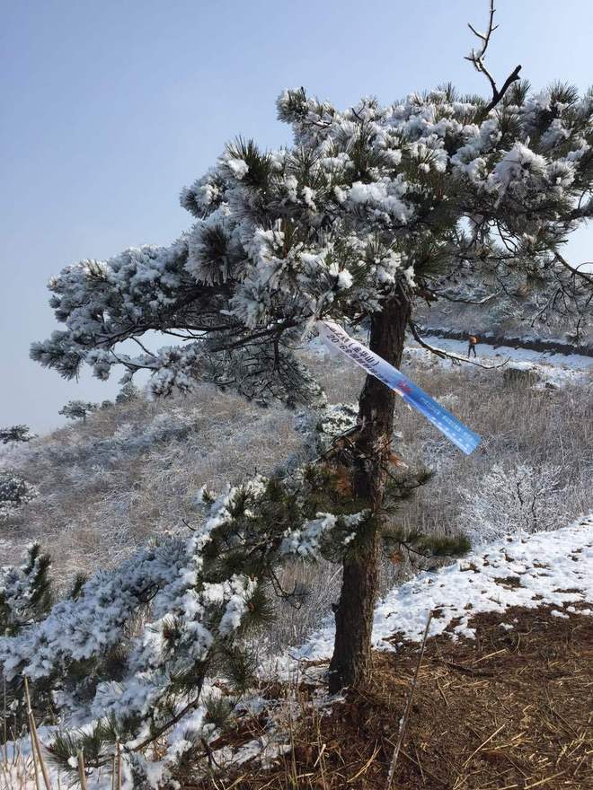 身体和灵魂，总有一个要在路上——2016北山之巅（金华山）越野挑战赛复仇记