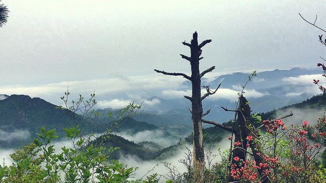 长城，云海，峭壁和大腿——柴古唐斯Plus 30K体验