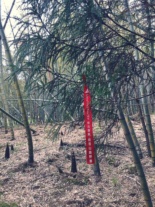 长城，云海，峭壁和大腿——柴古唐斯Plus 30K体验