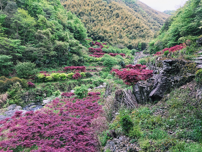 遇见如画的江南，遇见非凡的自己 江南100–60KM