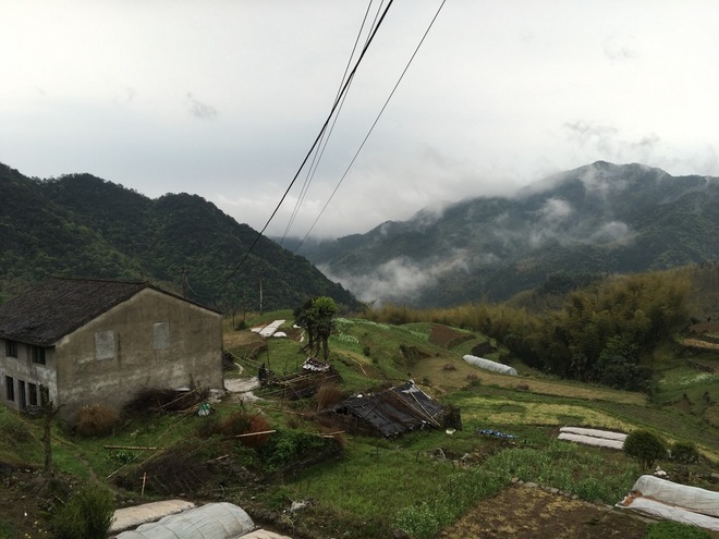 We Suffer Because We Love.