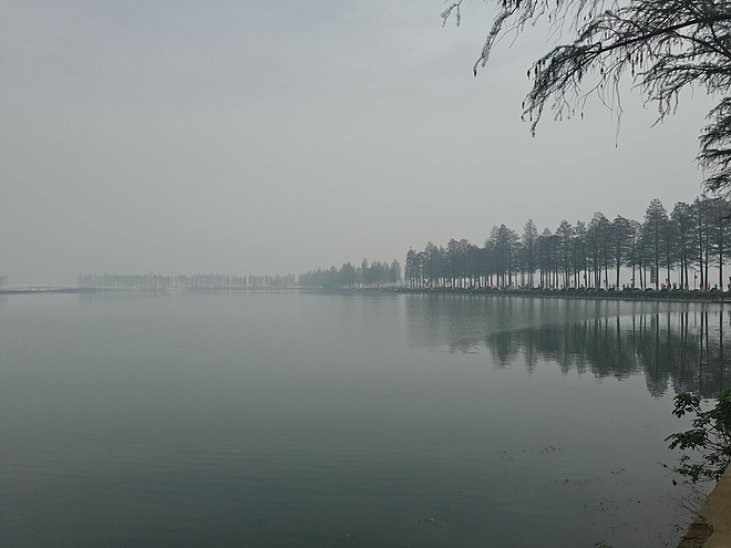 我的首马-武汉马拉松