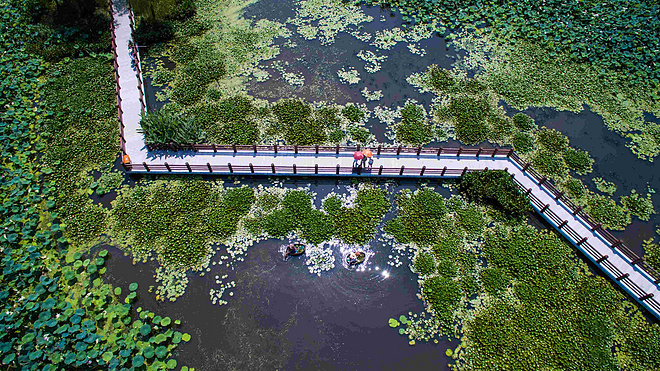 不一样的太湖美－太湖图影国际半程马拉松赛