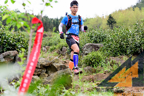 柴古唐斯|风雨后未必有彩虹，风雨兼程后必有收获