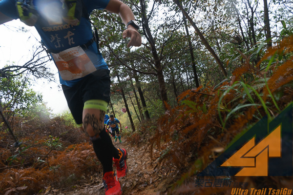 喝最烈的酒 走最野的路 －2016柴古－括苍－30K弱鸡完赛小记