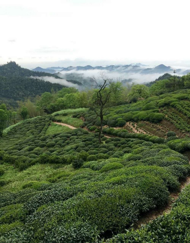 是什么让这么虐的越野赛吸引着那么多如痴如醉的爱好者-身临其境感受柴古唐斯PLUS越野赛