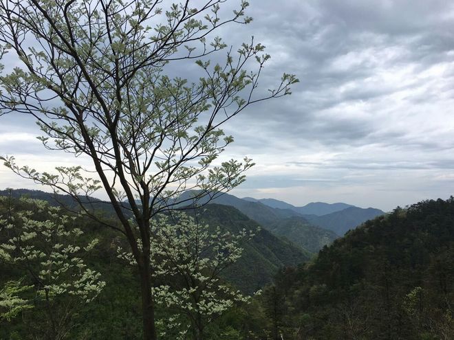 不完美的完美比赛—我的DNF柴古唐斯之旅