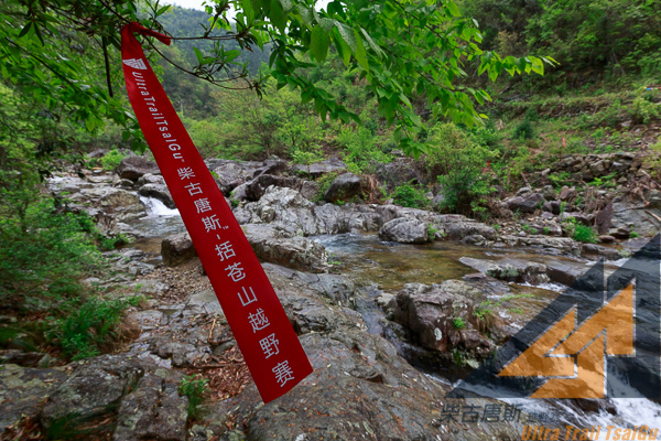 柴古唐斯|风雨后未必有彩虹，风雨兼程后必有收获