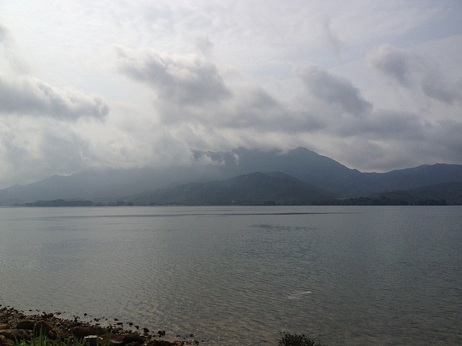 UTSZ100_首野之路: 从梧桐到大鹏