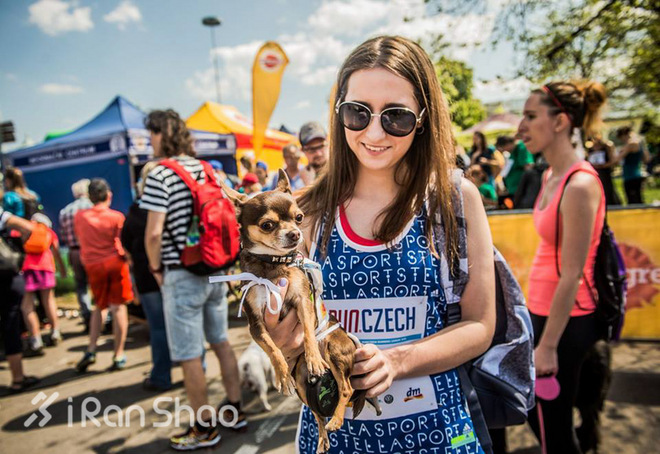 安全 | 不止生活会被“狗且”  跑步也有被咬的风险