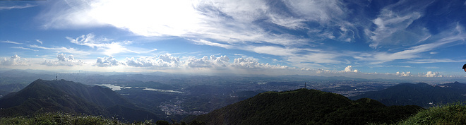 UTSZ100_首野之路: 从梧桐到大鹏